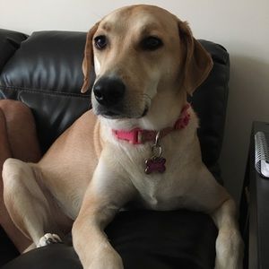 Meet your Posher, Joanna